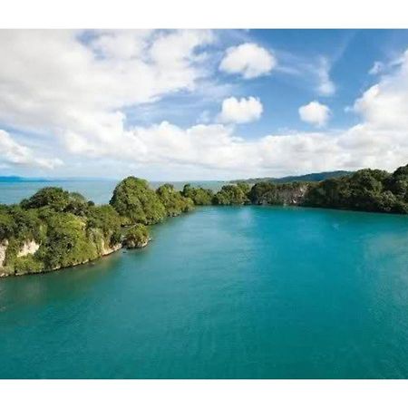 Room In Guest Room - Best Bed And Breakfast In Samana Breakfast Included المظهر الخارجي الصورة